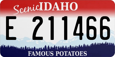 ID license plate E211466