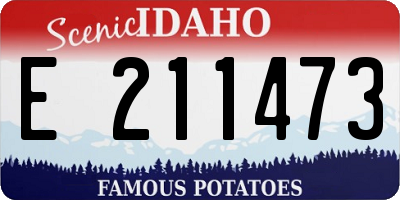 ID license plate E211473