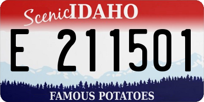 ID license plate E211501
