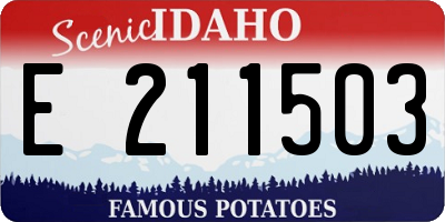 ID license plate E211503