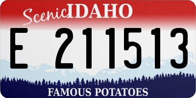 ID license plate E211513