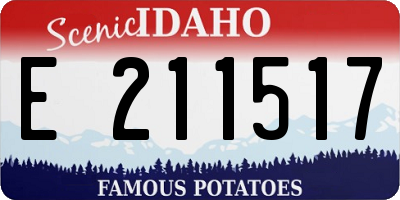 ID license plate E211517
