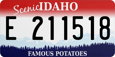 ID license plate E211518