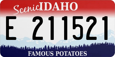 ID license plate E211521