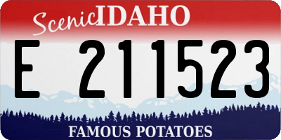 ID license plate E211523