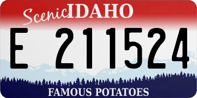 ID license plate E211524