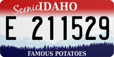 ID license plate E211529