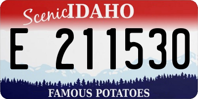 ID license plate E211530