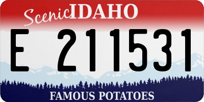 ID license plate E211531