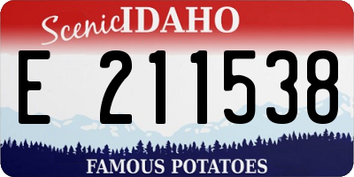 ID license plate E211538