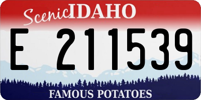 ID license plate E211539