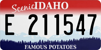 ID license plate E211547