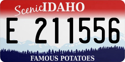ID license plate E211556