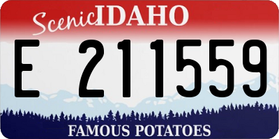 ID license plate E211559
