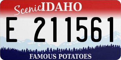 ID license plate E211561