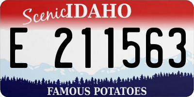 ID license plate E211563