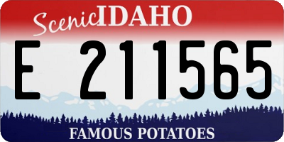 ID license plate E211565