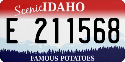ID license plate E211568