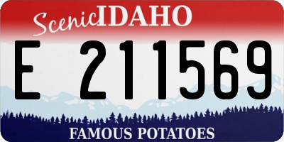 ID license plate E211569