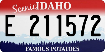 ID license plate E211572