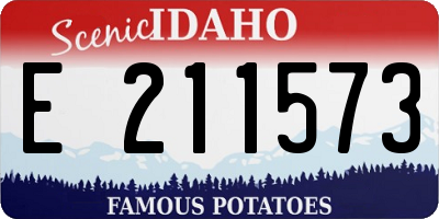 ID license plate E211573