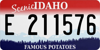 ID license plate E211576