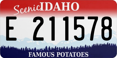 ID license plate E211578