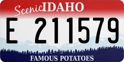 ID license plate E211579