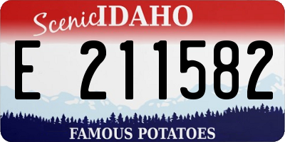 ID license plate E211582