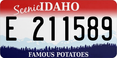 ID license plate E211589