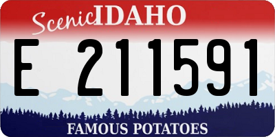 ID license plate E211591