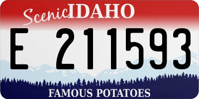 ID license plate E211593