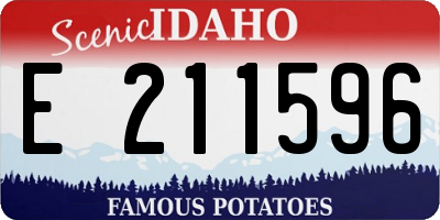 ID license plate E211596