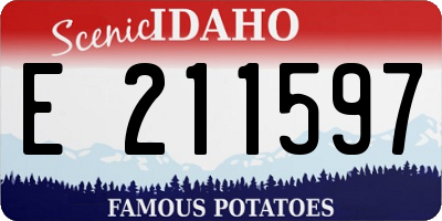 ID license plate E211597