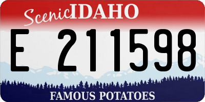 ID license plate E211598