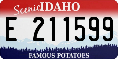 ID license plate E211599