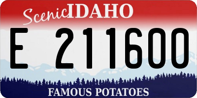 ID license plate E211600