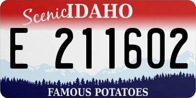 ID license plate E211602