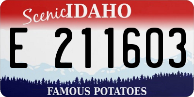 ID license plate E211603