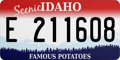 ID license plate E211608