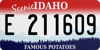 ID license plate E211609