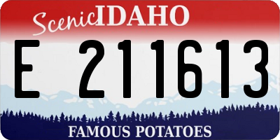 ID license plate E211613