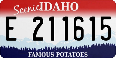 ID license plate E211615