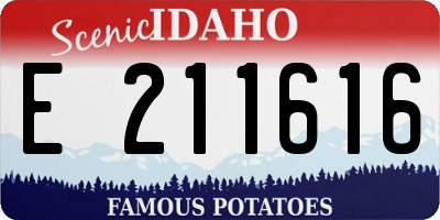 ID license plate E211616