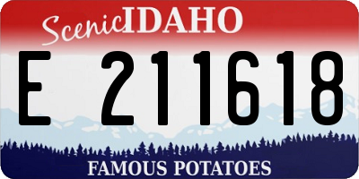 ID license plate E211618