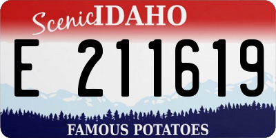 ID license plate E211619