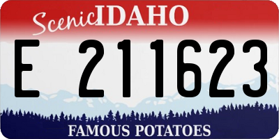 ID license plate E211623
