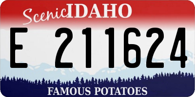 ID license plate E211624