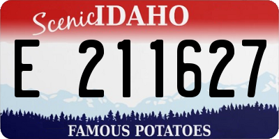 ID license plate E211627