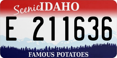 ID license plate E211636